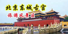 操逼操大屌视频网站中国北京-东城古宫旅游风景区
